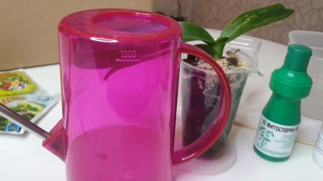 ЛЕЧЕНИЕ ПЯТНО на листьях орхидеи // Желтеет лист орхидеи смотреть онлайн