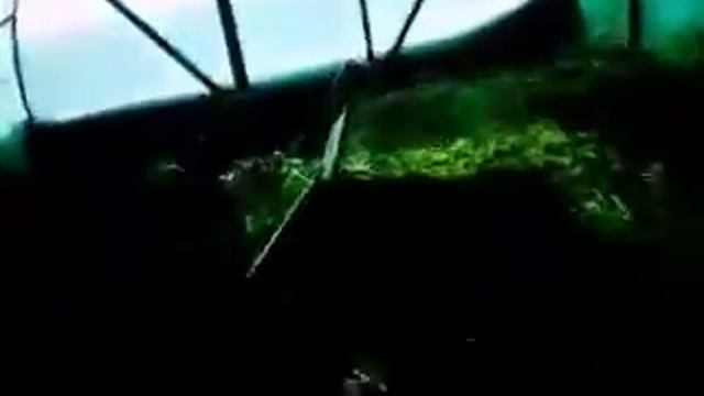 Чем "нужно" кормить БАРАНОВ смотреть онлайн