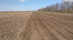 Посев чечевицы красной сеялкой сзс 2.1 no till