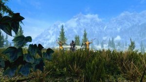 Skyrim. Кто круче? Дреморы-валкиназ vs стражники Вайтрана.