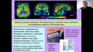 Дубынин МФК весна 2021 Химия мозга 11 анандамид