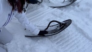 Видеообзор на Снегоход Лидер Альфа!