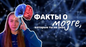 Факты о мозге, которые ты не знал