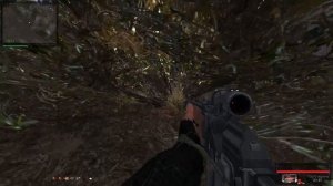 STALKER 1.0006. Путь Человека "Возвращение"  Грибы Волку