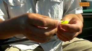 Ловля щуки и судака на отводной поводок