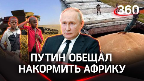 Россия готова заместить поставки украинского зерна на континент: Путин обещал накормить Африку