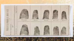 Интересные факты из истории мировой криминалистики