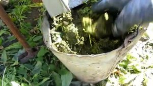 Биогаз, загрузка реактора, сырье халява