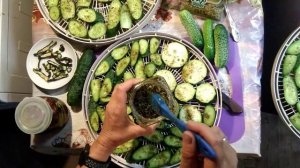 Сушеные малосольные огурчики. Мой рецепт