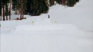 Snowboard Freestyle by DC