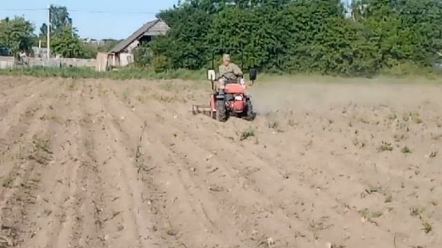 Минитрактор мтз 112н-01. Уход за картофелем. Боронование. #мтз #минитрактор #техника смотреть онлайн