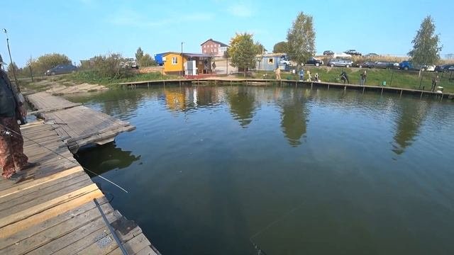 Форель на платнике! Ловим форель на спиннинг!