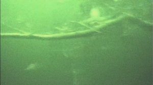 Язь 52 актив 7. Подводная видеокамера.