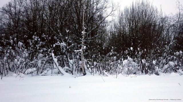 Snow blanket covers the ground for a warm, cozy atmosphere at home in 4K UHD | Audio relaxation смотреть онлайн