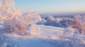 Потолок ледяной | ? Детская новогодняя песня | Зима |