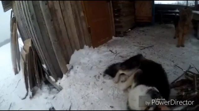 1видео, и это будет рыбака на р. Име смотреть онлайн