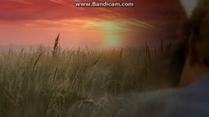 Выйду ночью в поле с конем