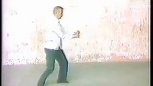 Южные стили ушу: юнчунь байхэ цюань / Yongchun Crane forms.
