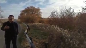 То что люблю