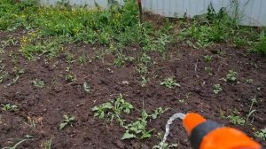 Полив на вашем участке.