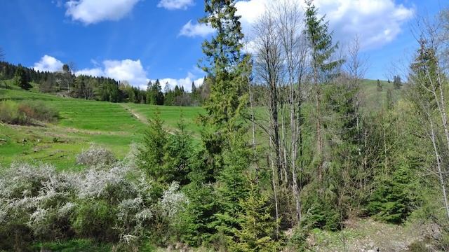 Евангелие дня. Чтимые святые дня. День Святой Троицы. Пятидесятница. (07 июня 2020 г.) смотреть онлайн