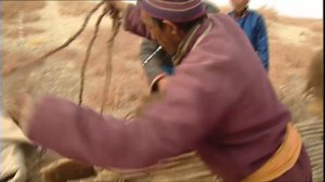 360 Geo - Le desert de Gobi a dos de chameau