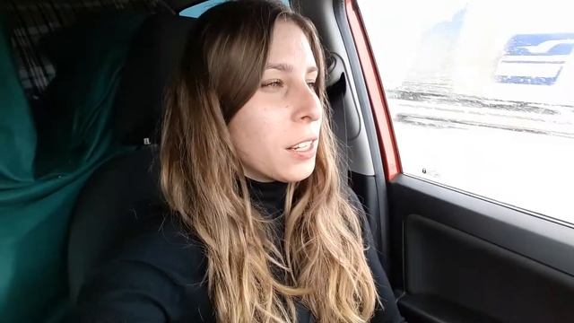 Перевозим Кречета в Москву из ХКЗ смотреть онлайн