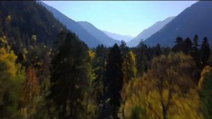 Ислам Идигов - Друг Мой