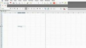 Microsoft Excel Tips : How to Align Text in Excel Cells