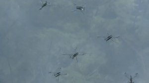 Рыбалка на поплавок на реке Медведица.