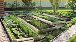 Грядки из оцинковки