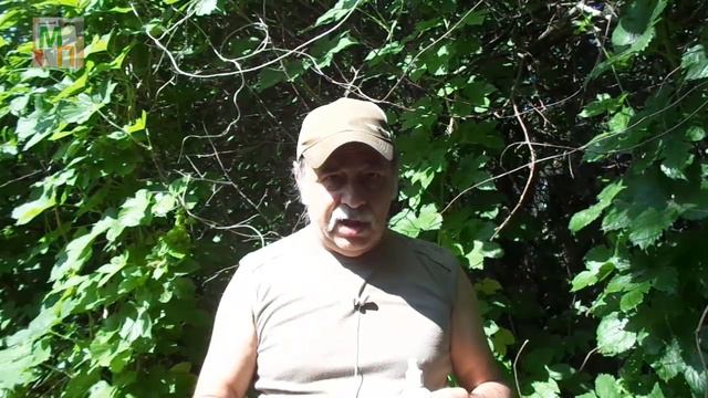 Как приготовить простой и безопасный дезодорант самому смотреть онлайн