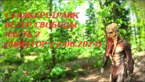 Сталкерстрайк - Ветер Свободы - Часть 2 (Авиатор 1-2.06.2024)
