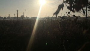 Ой, Ладо-Ладо/ Марина Девятова