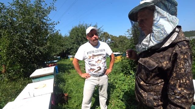 Рассуждаем о ПОРОДАХ ПЧЁЛ, у меня в гостях Алексей Черепанов, канал " ХОББИ УРАЛЬЦА-ЭКЗОТИКА, САД, смотреть онлайн