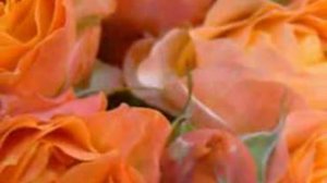 Хорошая музыка