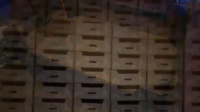 Производство ящиков для упаковки фруктов и овощей из гофрокартона, Крым. смотреть онлайн