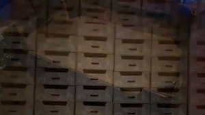 Производство ящиков для упаковки фруктов и овощей из гофрокартона, Крым.