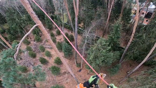 Каблинг - укрепление деревьев смотреть онлайн