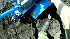 Мотоблок Нева мб 2, вспашка.