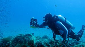 В гости к морской корове: Андаманские и Никобарские острова//Разноцветная Азия