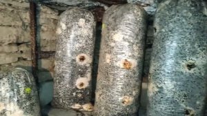 Взял отработанные блоки после первой волны. ВЁШЕНКА