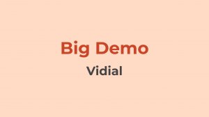 Vidial | Big Demo