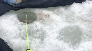 РЫБАЛКА В ПАЛАТКЕ. Ловля плотвы на мормышку. Рыбалка в Нижнем Новгороде 2022