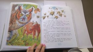 61 Сова В. Бианки  100 Сказок, сказки любимых писателейПочитай-ка, читаем детские книги.