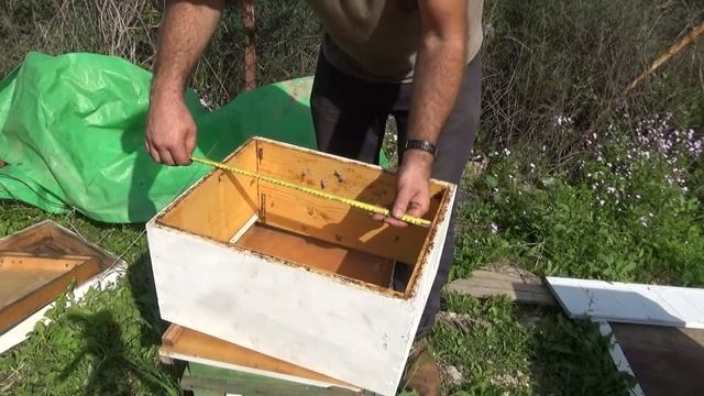 евростандарт улика системы рут. размер и комплектация. смотреть онлайн