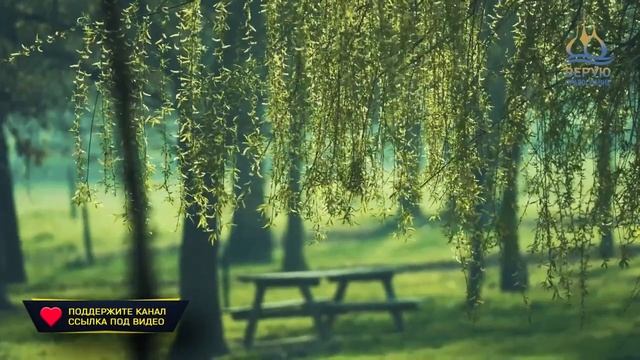 ? Часть  5  Свящ. Антоний - О молитве Иисусовой.  #Верую_православие