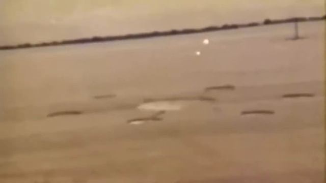 НЕ СКВОЗЬ СТЕКЛО ВИДНО НЛО РИСУЕТ КРУГИ НА ПОЛЕ. 4 ДЕНЬ АНАЛИЗИРУЮ ... МОНТАЖА НЕ ВИЖУ ! смотреть онлайн