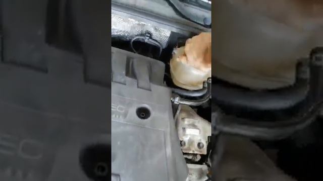 1314 Opel Signum 2004 3.0d Новый машинокомплект!!!