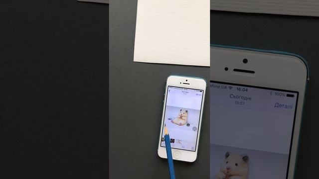 Урок рисования для детей. Хомяк 1. смотреть онлайн